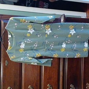 BNWOT Springtime dress